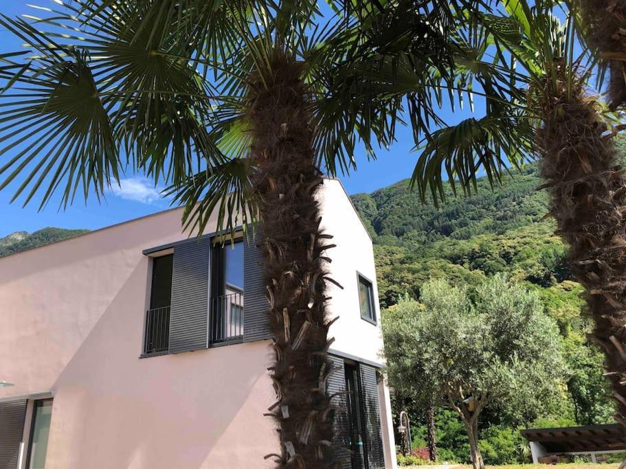 Sinergia E Benessere SantʼAntonio Exterior foto